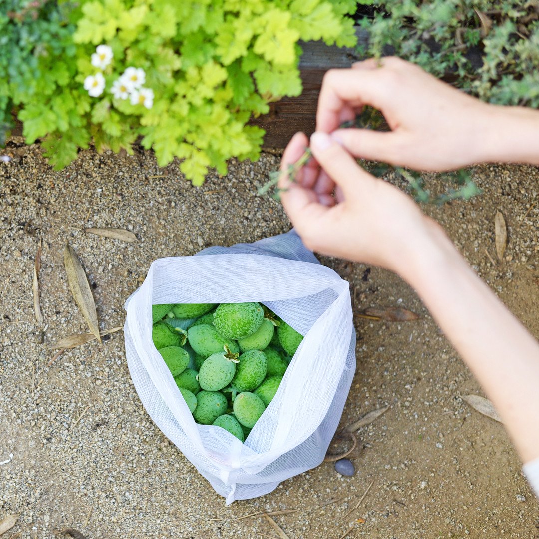 reusable produce bags in garden